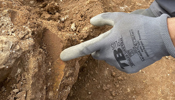 Animan a «más expertos y curiosos» a excavar en Flavia Augusta