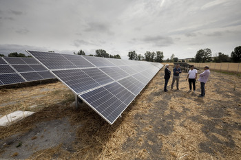 En riesgo 50 millones en parques solares en trámite