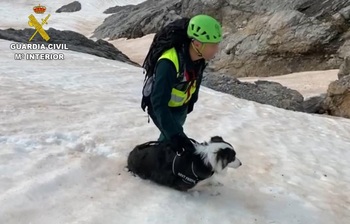 Rescatan al perro de dos burgaleses en Picos de Europa
