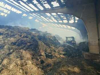 Mueren 300 ovejas en el incendio de una nave en Fuentemolinos