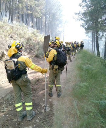 La Junta destina 7,6 M€ a contratar 5 brigadas de incendios