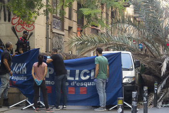 Una joven de 20 años muere al caerle una palmera en Barcelona