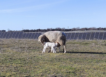 Solaria pide los permisos para construir su megaparque solar