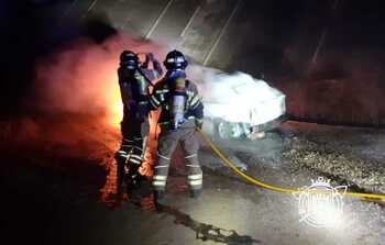 Arde un coche bajo el puente de la A-1 en Cardeñadijo