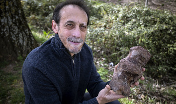 Hallan fósiles de dinosaurios en Atapuerca