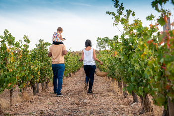 La Ruta del Vino Ribera del Duero sube un 43% sus visitantes