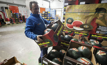 Los melones y sandías más esperados de MercaBurgos
