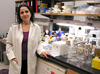 Eva Hernando, Premio CyL de Investigación Científica 2023