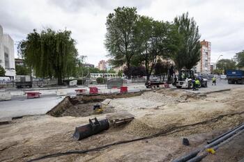 Vías Públicas se salta a Medio Ambiente y deja talar árboles