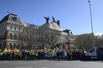 El campo burgalés vuelve a protestar unido en Madrid
