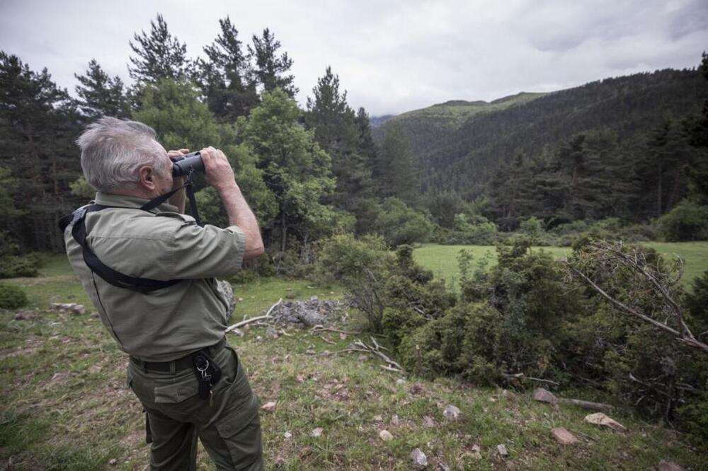 274 municipios y vastos pinares de Burgos se quedan sin «protección prioritaria» frente al fuego